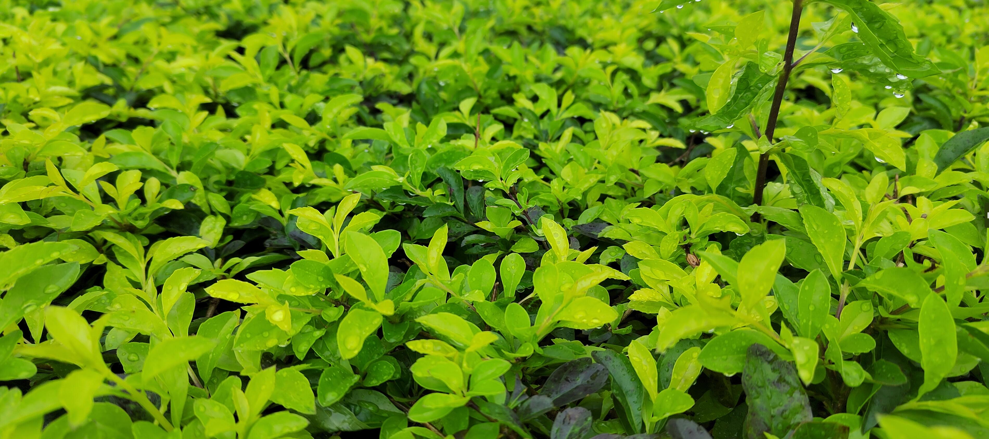 北京xx心理咨询中心